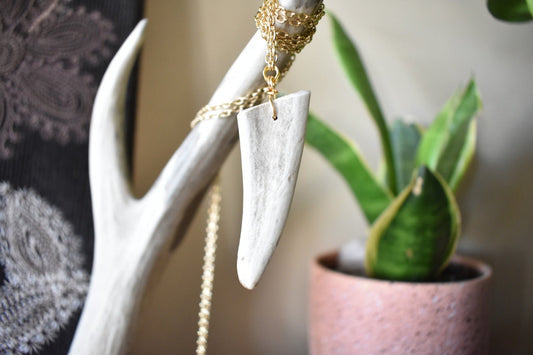 DIY Deer Antler Shed Jewelry Making - Prairie Buffalo