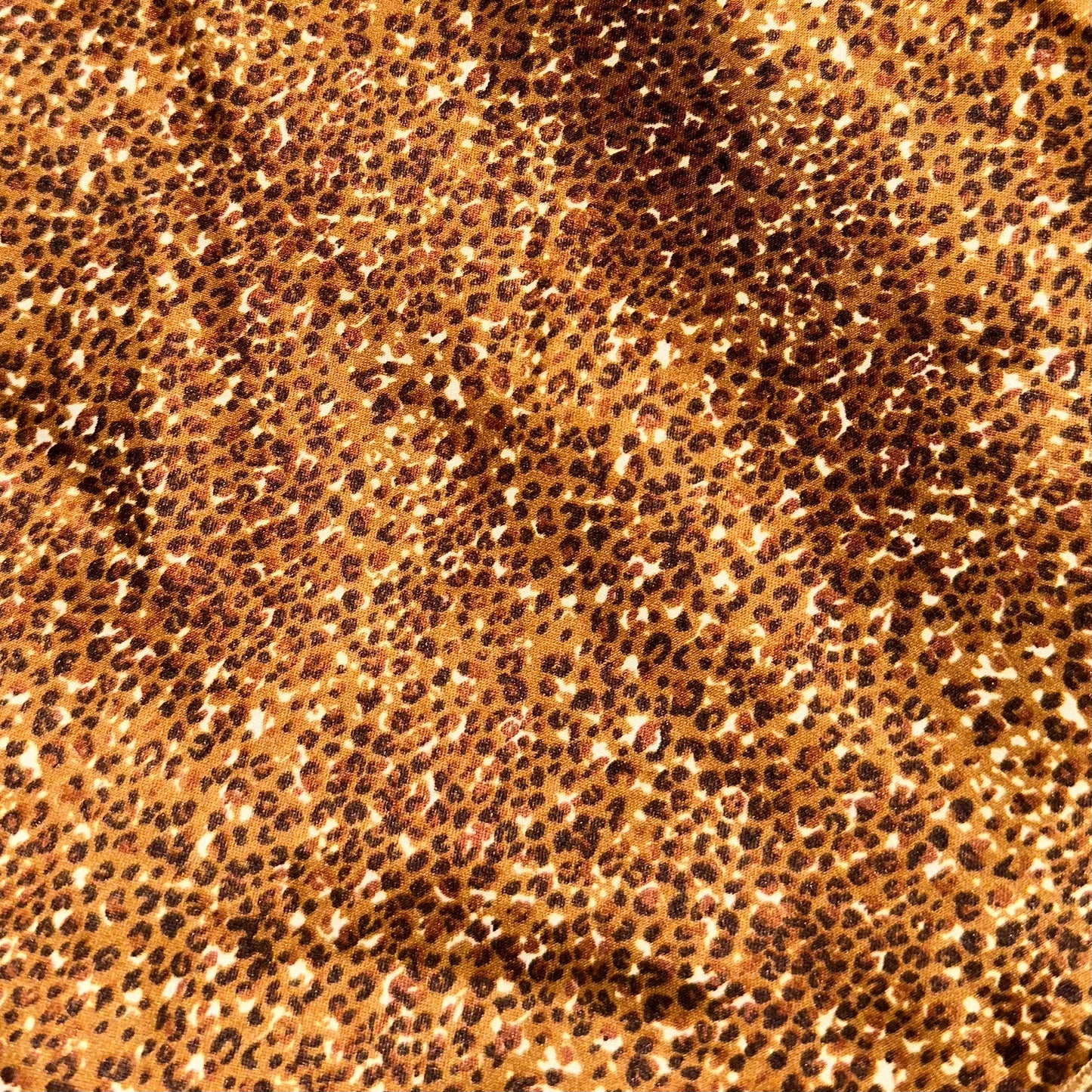 African Animal Print Wild Rag