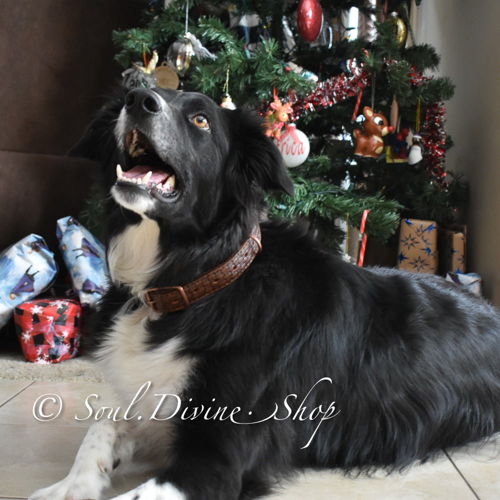 Leather Dog Collar - Hand Tooled - Soul Divine