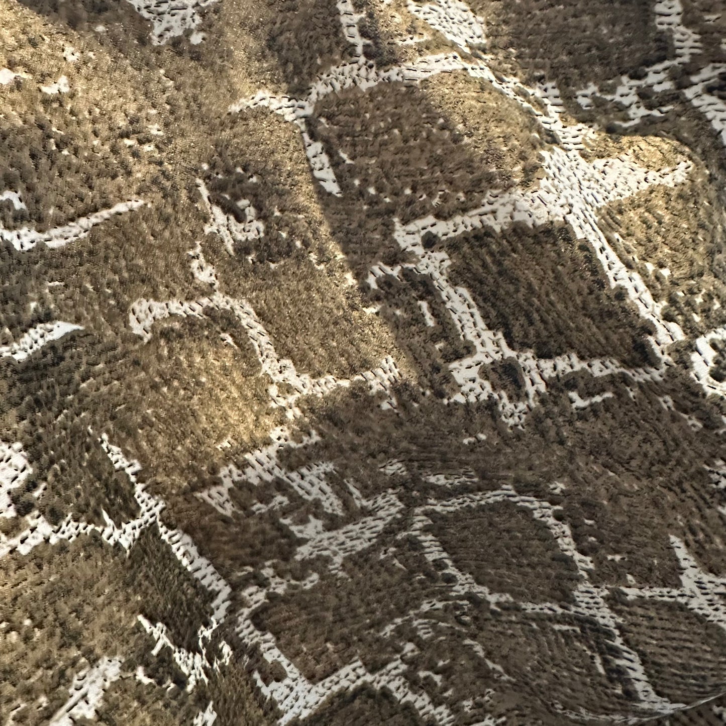Snakeskin Wild Rag - Prairie Buffalo