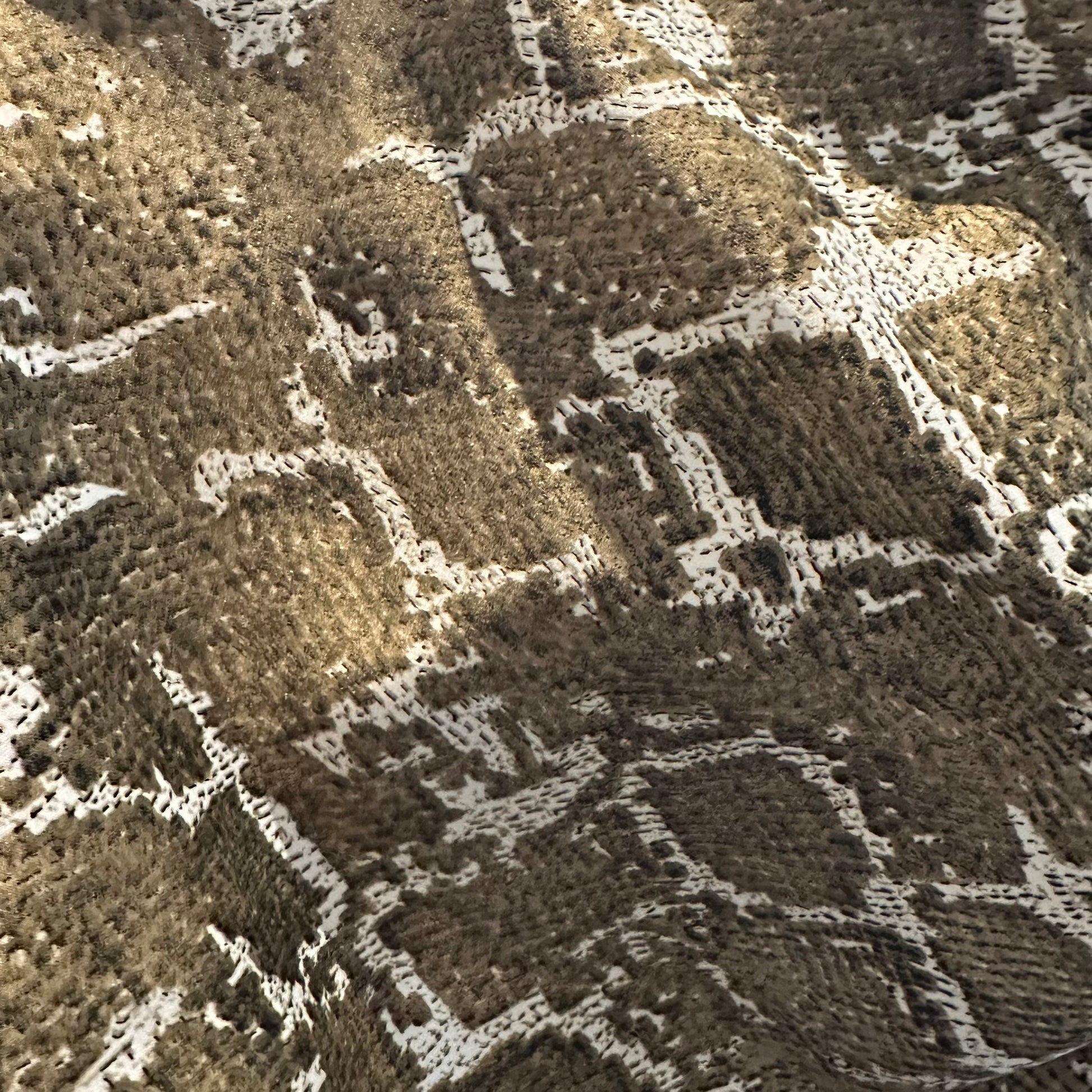 Snakeskin Wild Rag - Prairie Buffalo